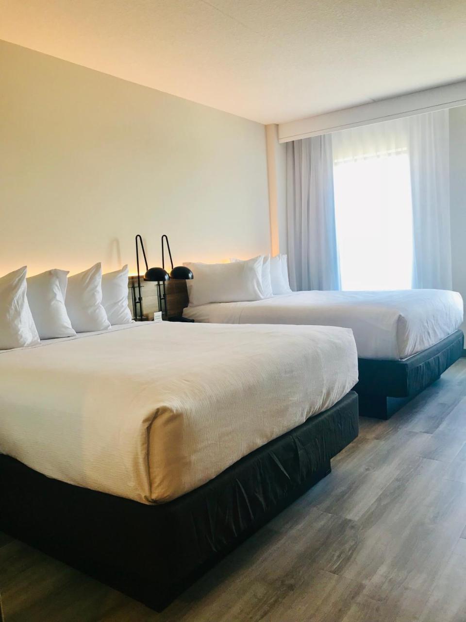 Отель Wyndham Garden Ft Lauderdale Airport & Cruise Port Дания-Бич Экстерьер фото